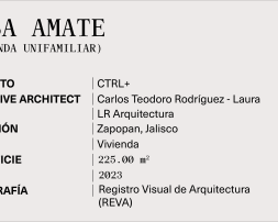 2.V FICHA TÉCNICA CASA AMATE
